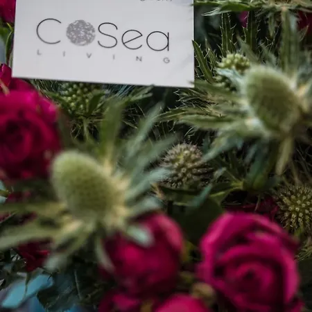 Cosea Living: Seaside Elegant In Harbour 112 Paphos