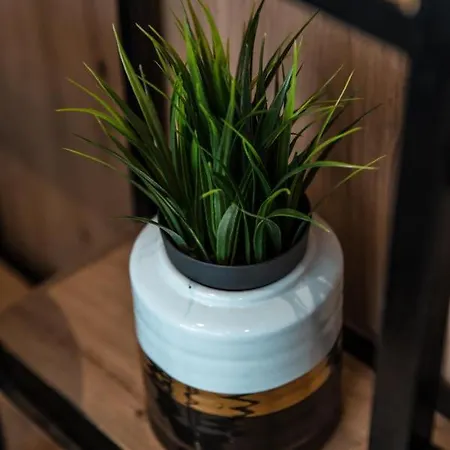 Cosea Living: Seaside Elegant In Harbour 112