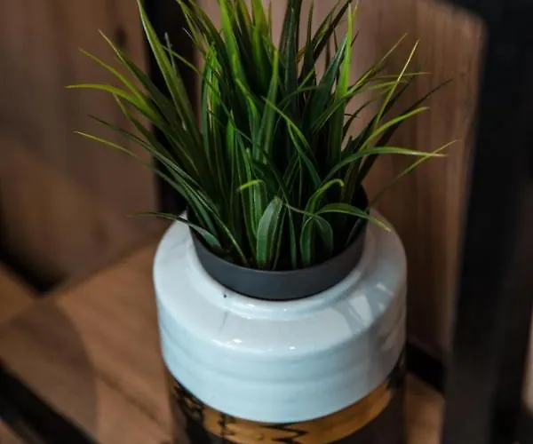 Cosea Living: Seaside Elegant In Harbour 112