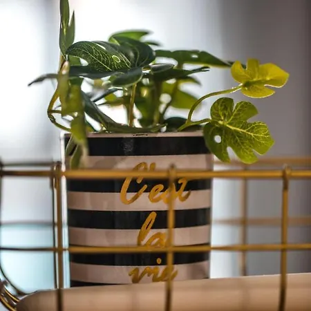 Cosea Living: Seaside Elegant In Harbour 112 Apartment